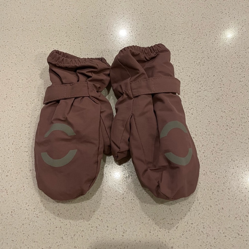 Lined Water Resistant Mittens
